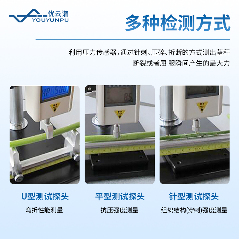 植物莖桿強(qiáng)度儀