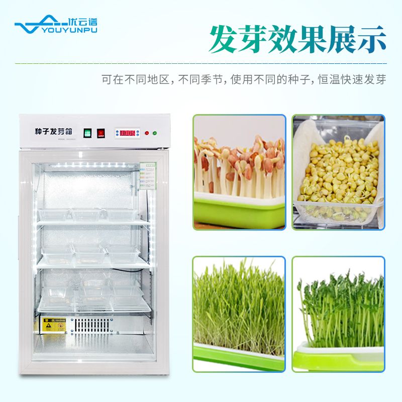 恒溫培養(yǎng)箱